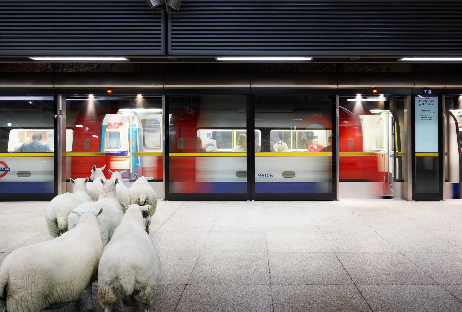 Herd Mentality - sheep on the underground - Ewe Tube
